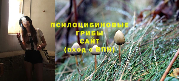спиды Абинск