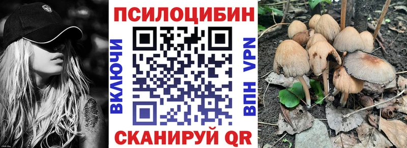 OMG Энем Псилоцибиновые грибы прущие грибы что такое наркотик